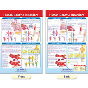 Human Genetic Disorders Poster